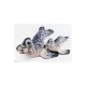 EnergoTeam The Grey Seal 36cm Fischkissen