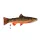 EnergoTeam The Brook Trout 62cm Fischkissen