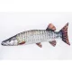 EnergoTeam Der Muskellunge 80cm Fischkissen