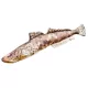 EnergoTeam The Flathead 97cm Fischkissen