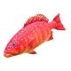 EnergoTeam The Coral Trout 81cm Fischkissen