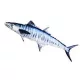 EnergoTeam The Spanish Mackerel 102cm Fischkissen