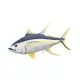 EnergoTeam The Monster Yellowfin Tuna 160cm Fischkissen