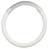 Bissanzeiger Ring Leuchtröhre 8cm. Groß