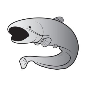 Delphin Selbstklebend Wels SILVER