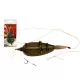 Carp Expert Method Rig Vorfach mit Köderspike 50gr + 10 Spikes