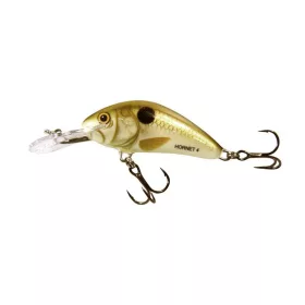 Salmo Hornet H4F PLS 4cm 3gr Schwimmender Wobbler