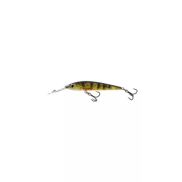 SALMO WOBBLER RATTLIN STING RS9DR RYP