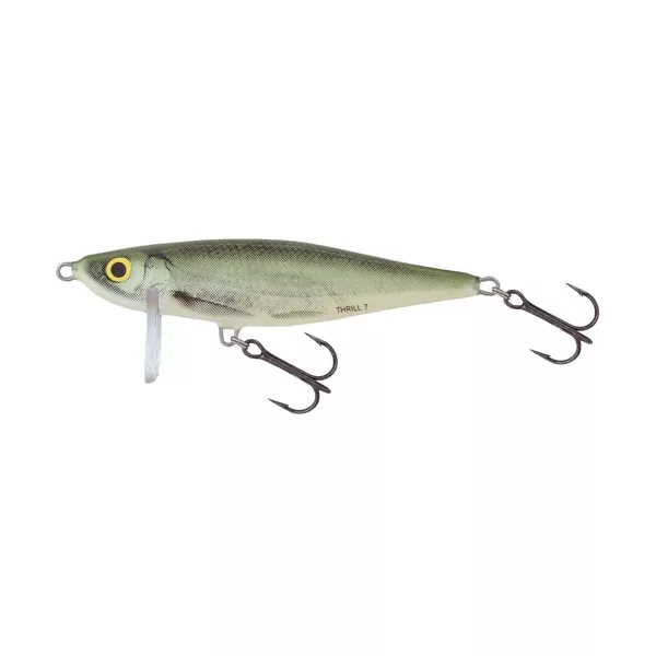Salmo Wobbler Thrill Wobbler OB 70mm - 13gr