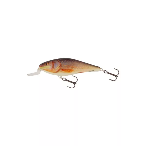 Salmo Wobbler Executor Wobbler RR 50mm - 5gr