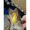 Nevis Twister Shad Vantage Perch 9cm 6,56gr Grün-Weiß Plastikköder 3 Stk.