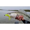 Nevis Impulse Shad 7,5cm 3,05gr 5Stk/Pckg Schwarz-Silber Plastikköder