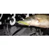 Reiva Zander Power Shad 10cm 7,05gr 4 Stk./Pack (Braun Glitzer) Gummiköder