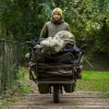 Avid Arctic-Series Sherpa Fleece Jacke M