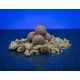 BaitBait Meer der Träume 30mm Konservierte Boilie 1kg
