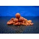 BaitBait Rebell 30mm Konservierte Boilie 1kg