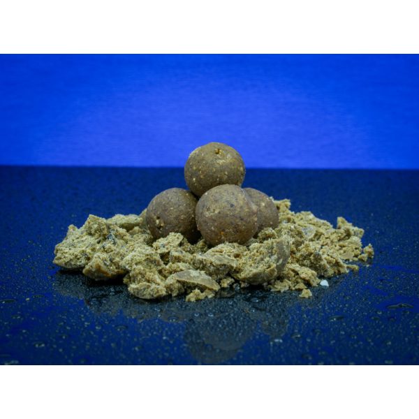 BaitBait Mentor 24mm Konservierter Boilie 1kg