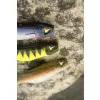 Black Cat Mega Curl Tail Shock Perch 22cm 29gr Kunststoffköder