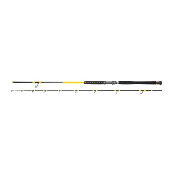 Black Cat Freestyle Pro Bank 150-300gr 2,80m 2-teilige Welsrute