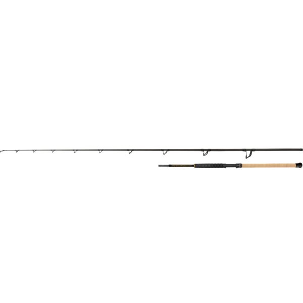 Black Cat Battle Cat Elite Bank 2,80m 180-300gr 2-teilige Wallerute
