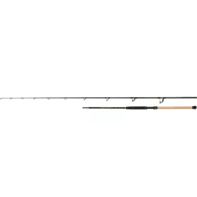   Black Cat Battle Cat Elite Bank 3,20m 200-400gr 2-teilige Welsrute