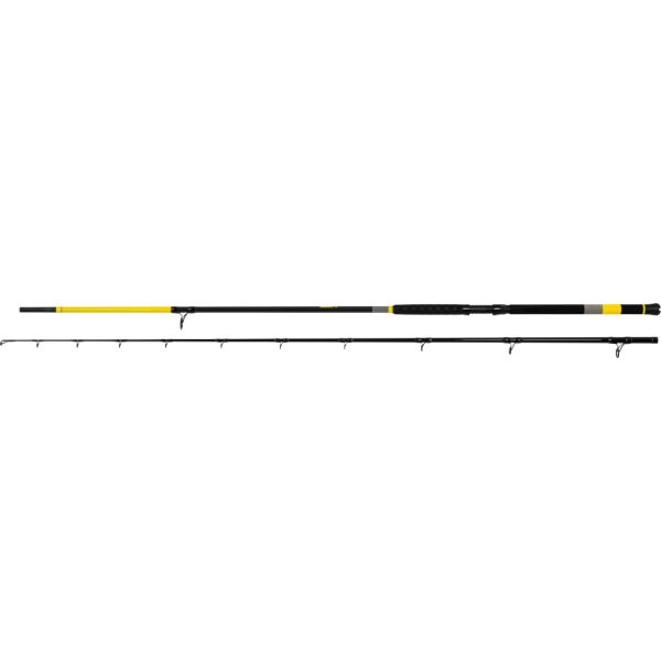 Black Cat Perfect Passion X Long Range 3,30m 600gr 2-teilige Welsrute