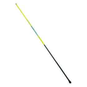 Evasion Pole 2,00m 5-20gr 2-teilige Stipprute