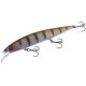 Major Craft Ceana Jerkbait 110SPS Shallow 11cm 16gr #010 Clear Perch Schwimmender Wobbler