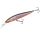 Major Craft Ceana Jerkbait 90SPM Middle 9cm 11gr #014 Holo Tennessee Schwimmender Wobbler