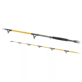 Predator Z Catzoom Brutal 3,00m 850gr 2-teilige Welsrute