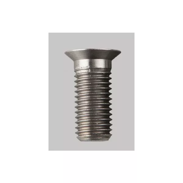 Delkim Stainless Long D-Lok Bolt - längere D-Lok Schraube aus Edelstahl