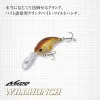 Evergreen Wildhunch 5,2cm 9,6gr #67 Flash Chart Wobbler