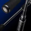 Evergreen Light Cavarly CLCS-77MH 231cm 7-35gr 2-teilige Spinnrute