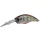 Evergreen Wildhunch 8 Footer 6,0cm 16,5gr #246 Chigill Wobbler