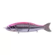 Babyface BB180-MSS 18cm 85gr 31 Pink Back Konoshiro Wobbler
