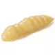 Fishup Pupa Cheese 3,04cm #108 Cheese Plastikköder 10Stk