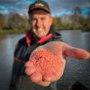 Fjuka Sensate™ Powder Fish Accelerant Red Fischbeschleuniger Lockstoff Pulver Rot 100gr
