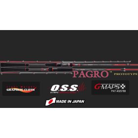   Graphiteleader Nouvo Pagro Cast GNPC-6102L-S R Fast 2,05m 100gr 2-teilige Spinnrute
