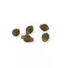 Matrix Quick Change Feeder Beads Schnellwechsel-Clip 5 Stück
