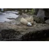 Matrix Plastic Orbit Feeder L 40gr Seitenfutterkorb