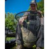 Matrix Carp Latex S Net 45x35cm Kescherkopf