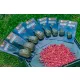 Guru Maggot Feeder Mini Madenkorb 20gr