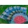 Guru Maggot Feeder M Madenkorb 40gr