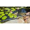 Garbolino Netsy Golden Power 440 PUT OVER LANDING NET / Kescherstiel / Unterfangkescherstiel