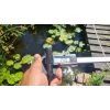 Garbolino Netsy Golden Power 440 PUT OVER LANDING NET / Kescherstiel / Unterfangkescherstiel