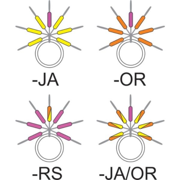 Garbolino - STREAMLINE STIX LINE VISUALIZER - Kleinteile - Stopper - Forellen-Gummistopper