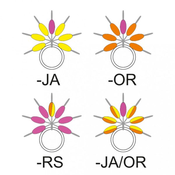 Garbolino - STREAMLINE TROPFEN SCHNUR-ANZEIGER - Kleinteile - Stopper - Forellen-Gummistopper