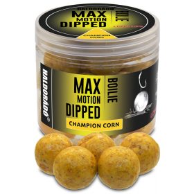   Haldorádó Max Motion Boilie Dipped Champion Mais 100gr 20mm Boilie