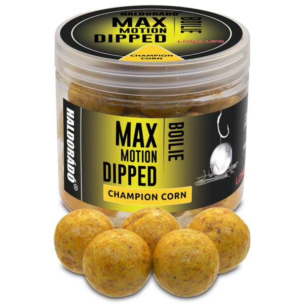 Haldorádó Max Motion Boilie Dipped Champion Mais 100gr 20mm Boilie