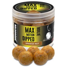  Haldorádó Max Motion Boilie Dipped Spanische Erdnuss 100g 20mm Boilie